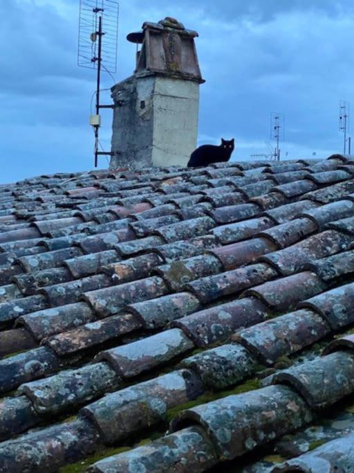 Appartamento Viola 27 Perugia Kültér fotó